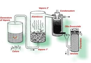 Schema della produzione di oli essenziali ed Hyper Hydro: a sinistra un generatore di vapore, al centro l'alambicco di estrazione ed il condensatore dei vapori, a destra il vaso fiorentino di separazione, ombre verdi e scritte rosse