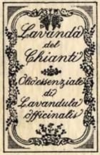 Etichetta del 1962 anno in cui il pittore senese Vittorio Zani dipinge l'etichetta per la Lavanda del Chianti con fiori di lavanda e grappoli di uva