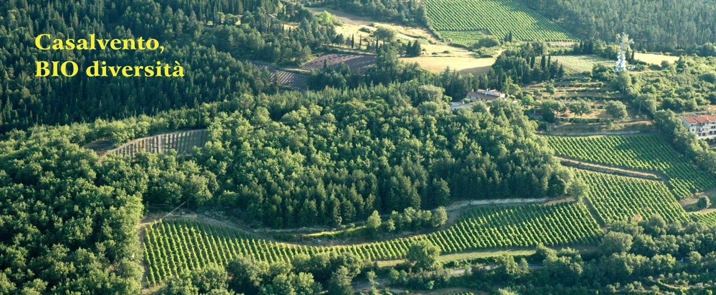 Aerial photo of the Casalvento estate with its vineyards, olive groves and crops of aromatic plants in the middle of dense wooded areas, the large distillery in the centre; yellow writing: Casalvento BIO diversity