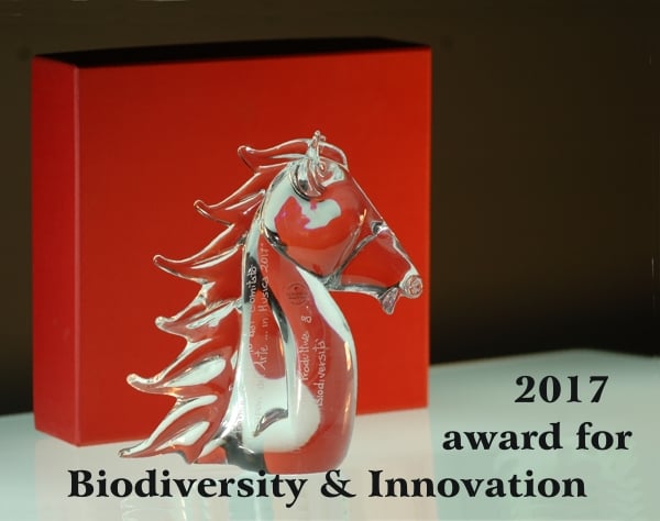 Immagine del premio ricevuto dalla azienda Casalvento rappresentato da un cavallo in cristallo trasparente su sfondo rosso e nero con riflessi su vetro e scritta nera: premio per biodiversità ed innovazione