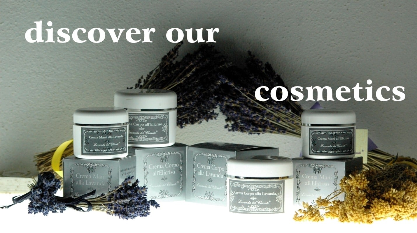White jars of lavender cream with shaded gray label surrounded by super blue lavender flowers and yellow helichrysum flowers on a gray background and white writing: discover our cosmetics