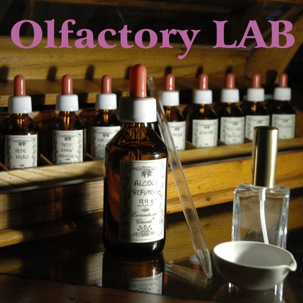 Yellow glass bottle with white cap and glass pipette in the background a row of yellow bottles with white and red caps, ceramic crucible and glass perfume bottle to the right; purple written olfactory laboratory