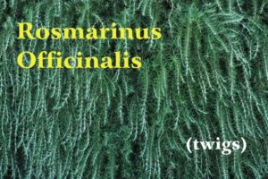 Rametti pendenti di rosmarino biologico nel Chianti di colore verde scuro, scritta gialla: Rosmarinus Officinali e scritta bianca: (rametti)