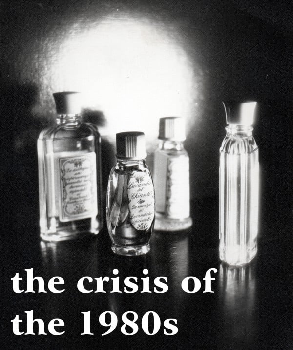 Black and white image of transparent glass bottles illuminated from the right side, the crisis of the 80s written in white