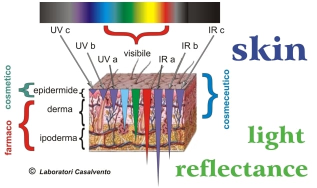 Immagine degli strati della pelle con triangoli colorati che rappresentano la maggiore o minore penetrazione della luce infrarossa, visibile ed ultravioletta fatta nei Laboratori Casalvento