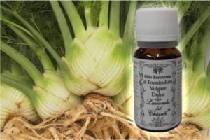 Pure sweet Fennel essential oil for food and pharmaceutical uses