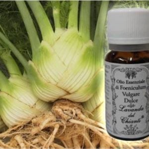 Pure sweet Fennel essential oil for food and pharmaceutical uses