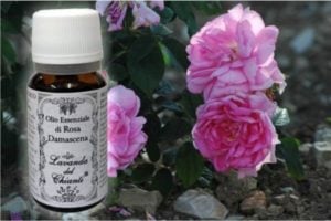 Pure rose essential oil for food and pharmaceutical uses