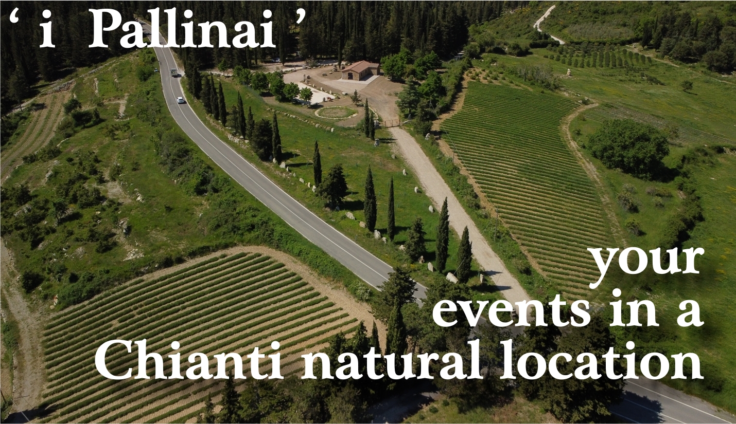 Aerial image of the Pallini: a restaurant, a large parking lot in the middle of rows of lavender