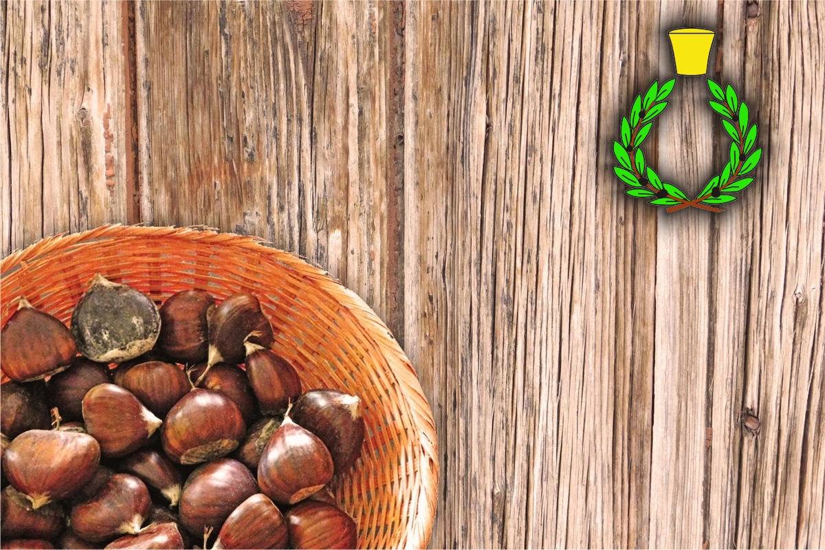 A seasoned hardwood, forest chestnuts in a wicker basket with the symbol of Casalvento in green and yellow