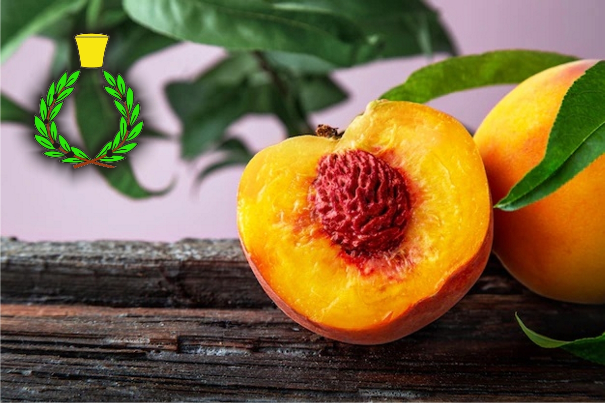 Sliced ​​yellow peach with stone resting on a peach wooden board and the Casalvento logo with a green laurel wreath