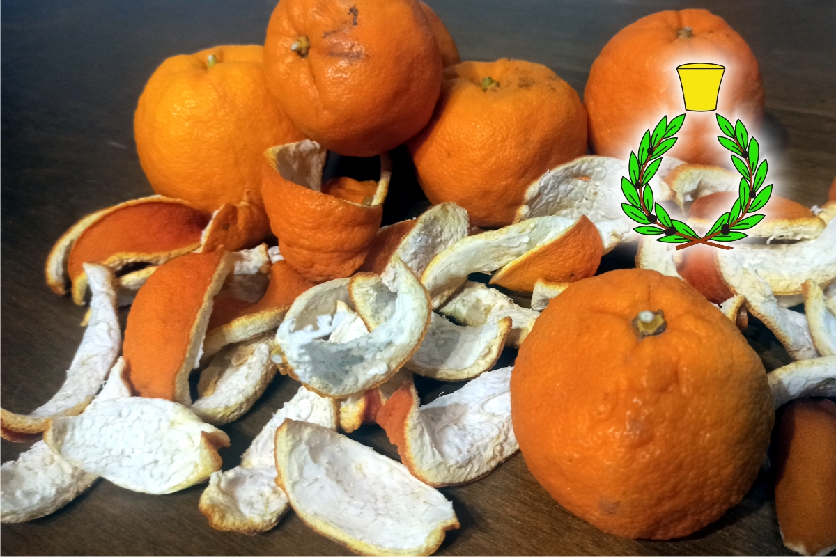 Bitter Sicilian organic oranges and their white and fleshy skins; Casalvento symbol made of a laurel wreath under a brass cap