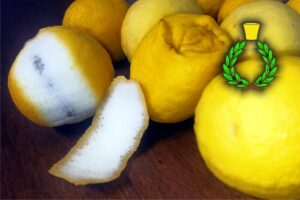 Limoni gialli in ottima maturazione, a sinistra un limone è stato parzialmente sbucciato e la sua buccia mostra le vesciche di olio essenziale; simbolo di Casalvento con corona di alloro e tappo giallo