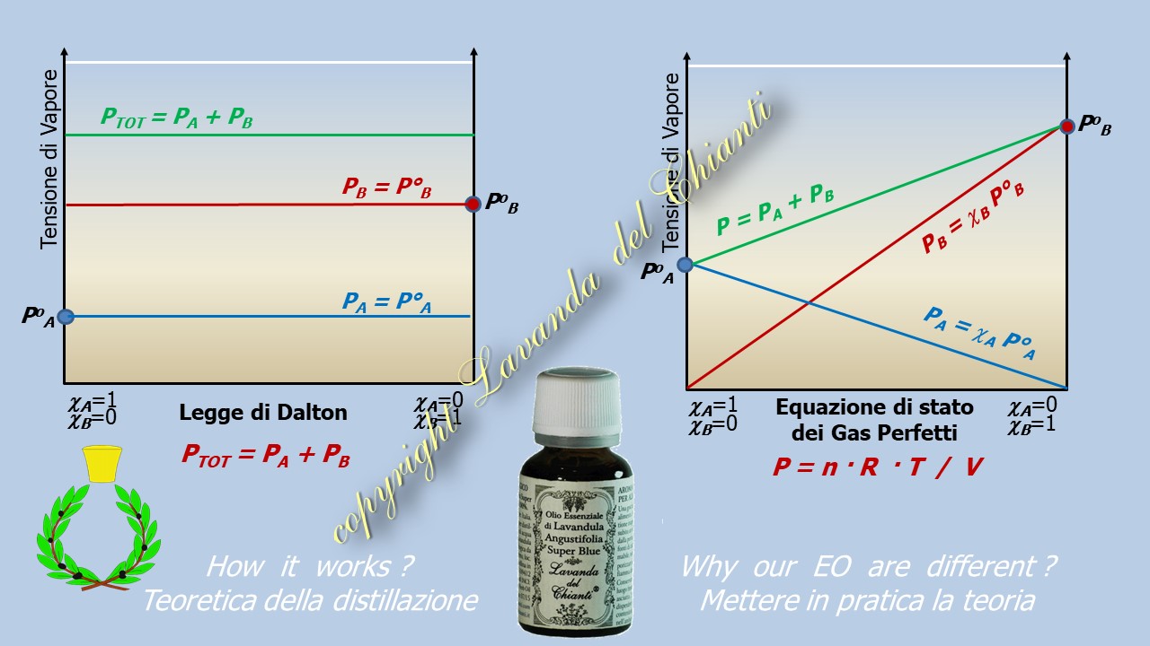 Yellow pharmaceutical glass bottle of lavender on a light blue background and 2 Cartesian graphs with Dalton's law and the equation of state of perfect gases; symbol of Casalvento and inscription: Lavanda del Chianti property