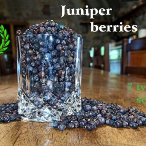 Casalvento selects 7 different types of juniper berries, the Tuscan botanical most sought after by distilleries to produce gin
